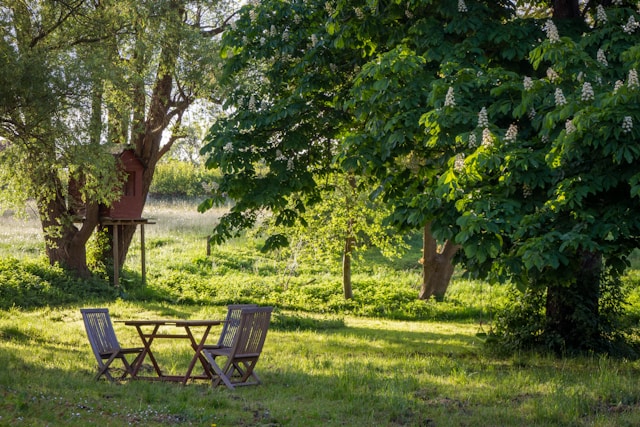 Klimaatbestendige tuin: voorbereid op droogte en extreme regenval